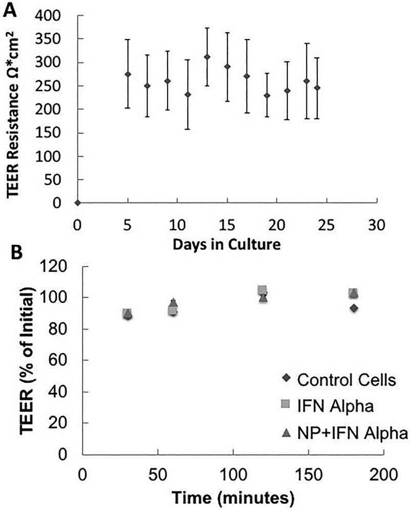 Figure 5: