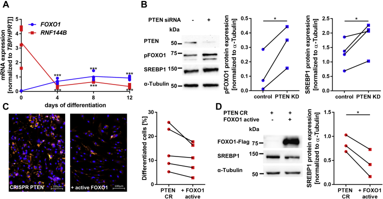 Figure 6