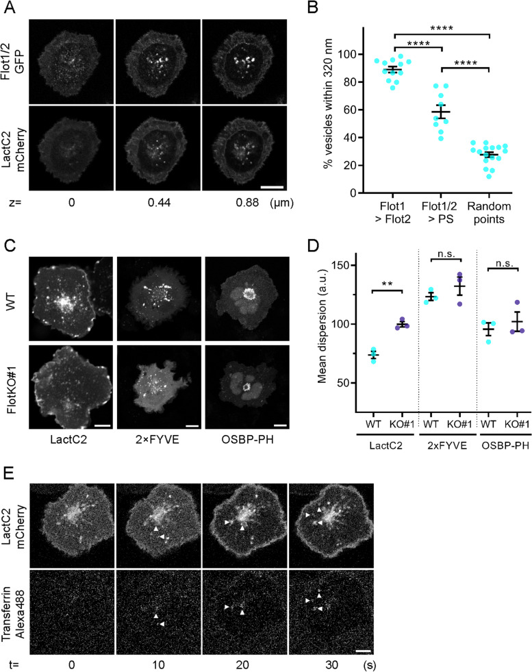 Fig. 4