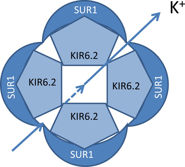 Figure 2