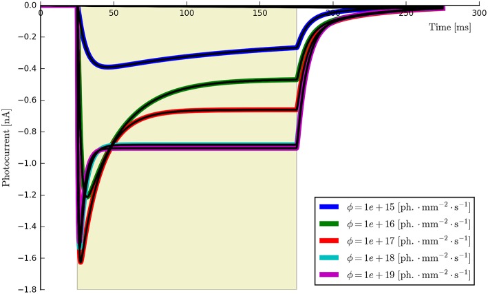 Figure 11