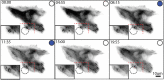 FIGURE 6: