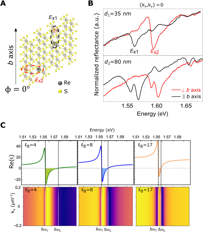 Fig. 1.