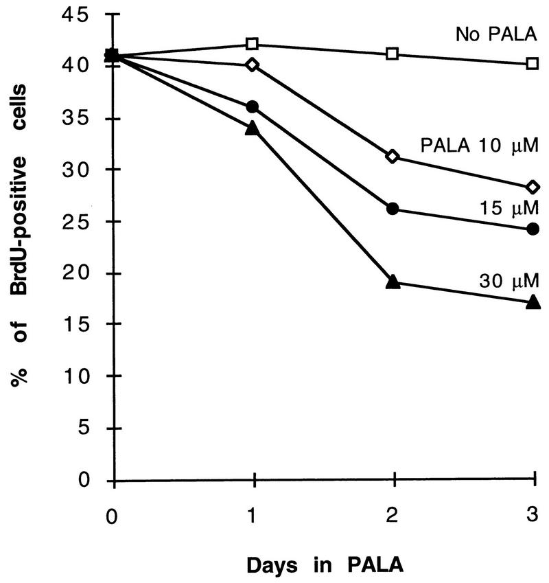 FIG. 6