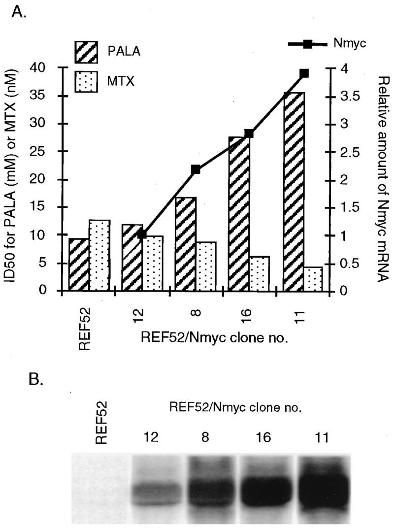 FIG. 1