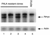 FIG. 4