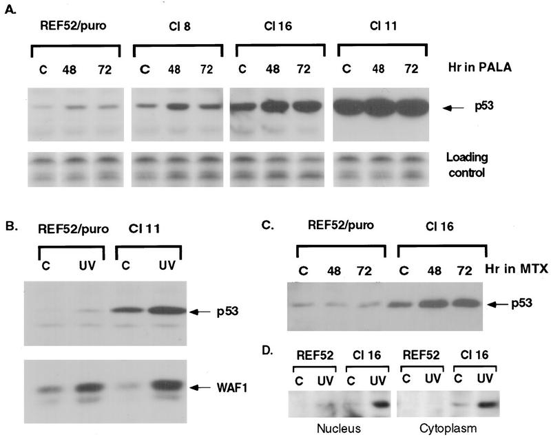 FIG. 7