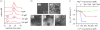 Figure 2.