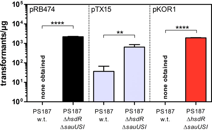 FIG 1