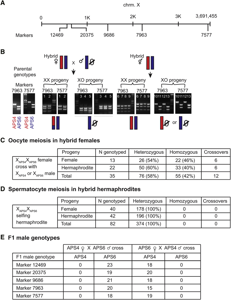 Figure 3