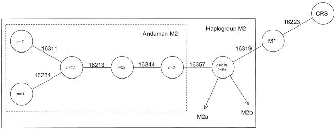 Figure  1