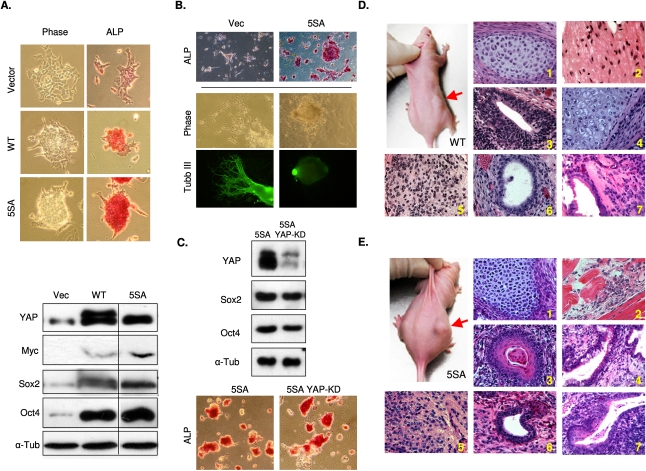 Figure 3.