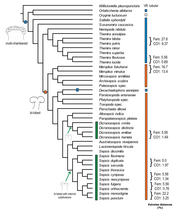 Figure 13