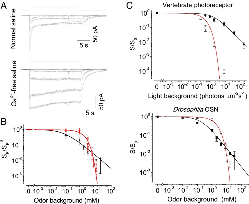 Fig. 7.