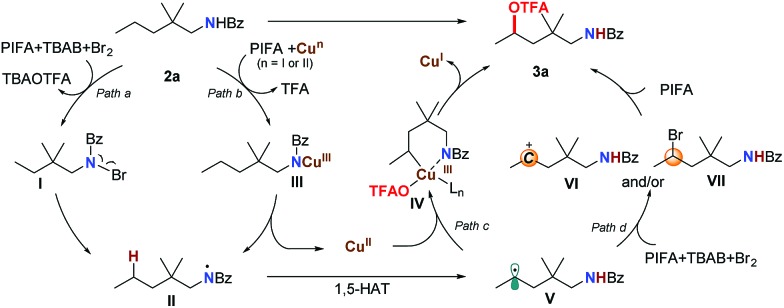 Scheme 3