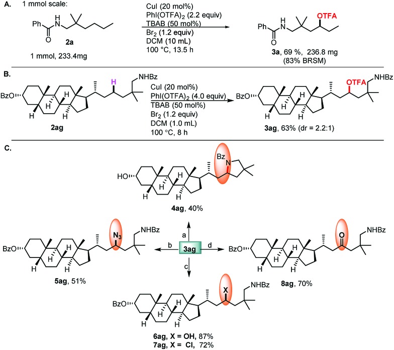 Scheme 4