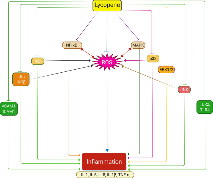 FIGURE 3