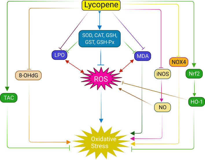 FIGURE 2