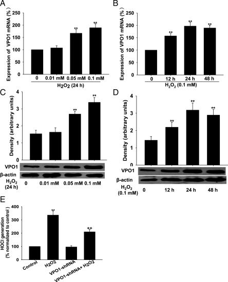 Figure 6