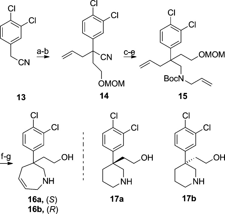 Scheme 3