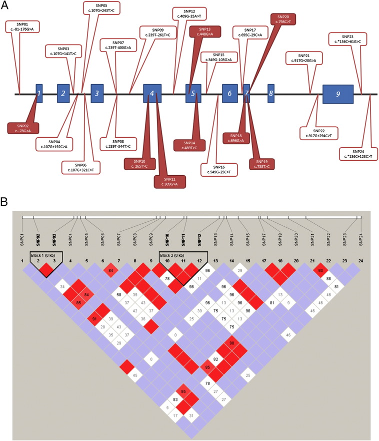 Fig. 1