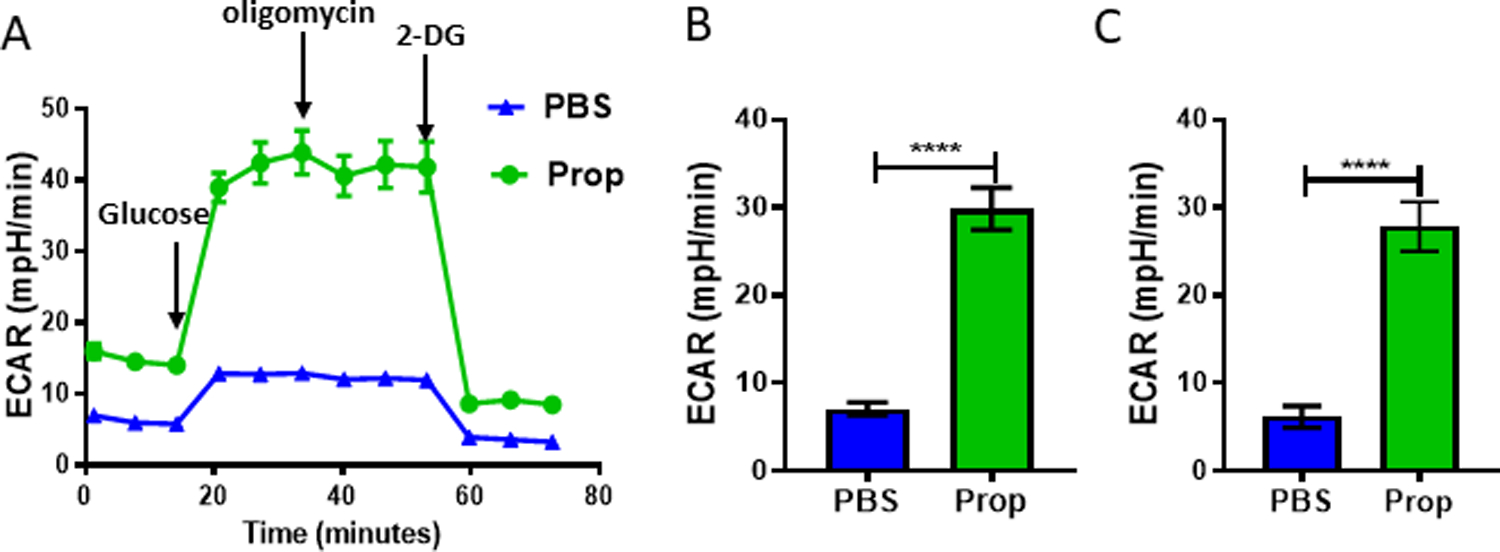 Figure 6: