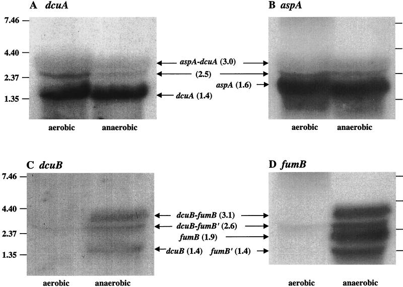 FIG. 6