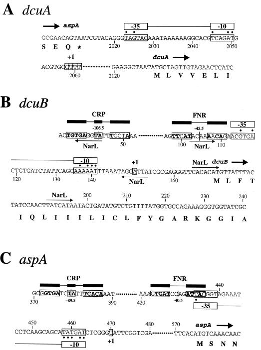 FIG. 8