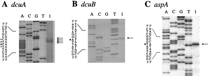 FIG. 7