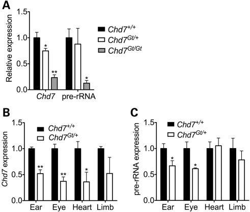 Figure 6.