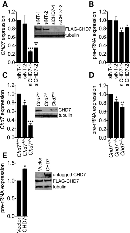 Figure 3.