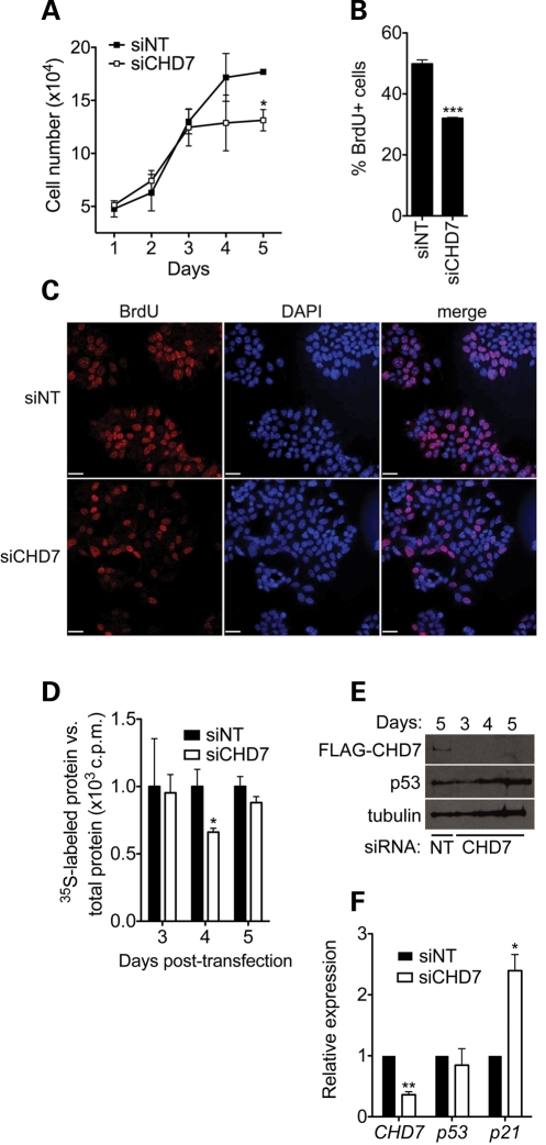 Figure 4.