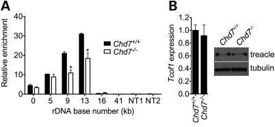 Figure 7.