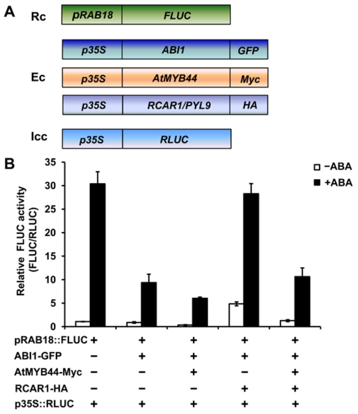 Figure 6.