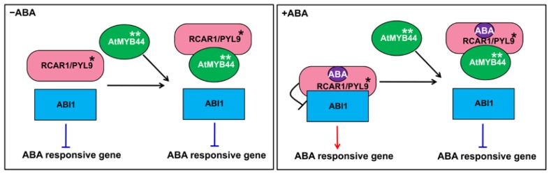 Figure 7.