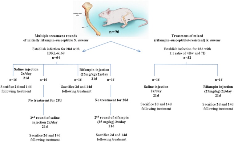 FIG 1