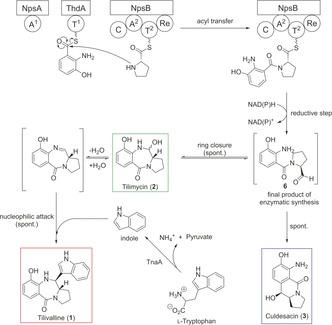 Scheme 3