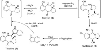 Scheme 1