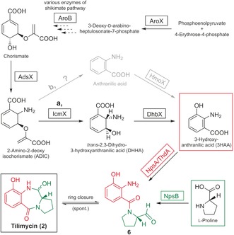 Scheme 2