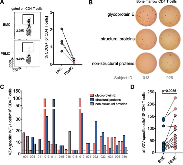 FIG 3