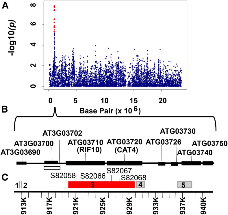 Figure 4.