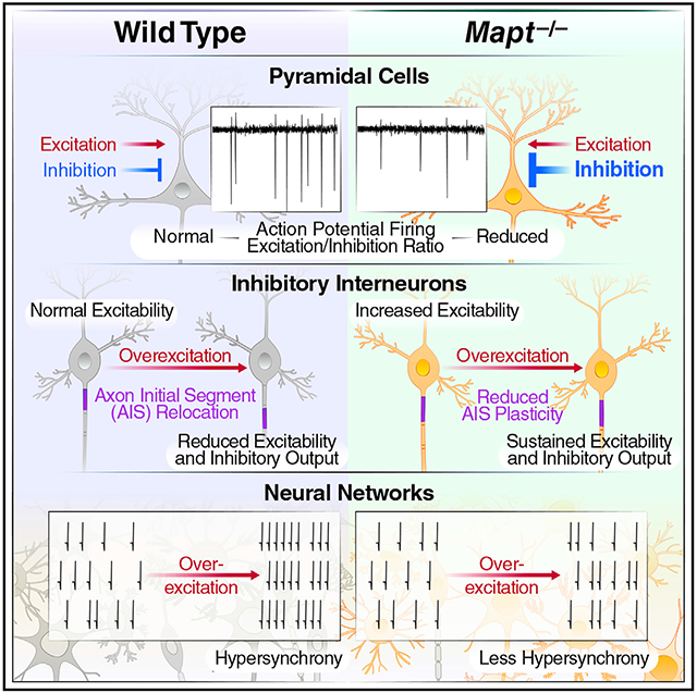 graphic file with name nihms-1749763-f0001.jpg