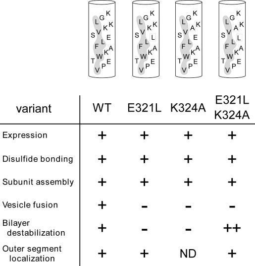 Fig.8.