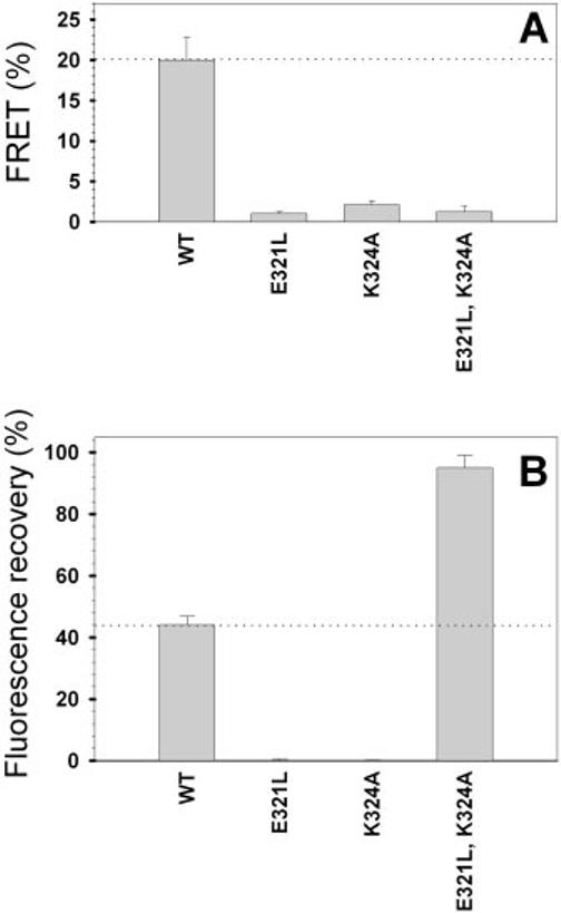 Fig.7.