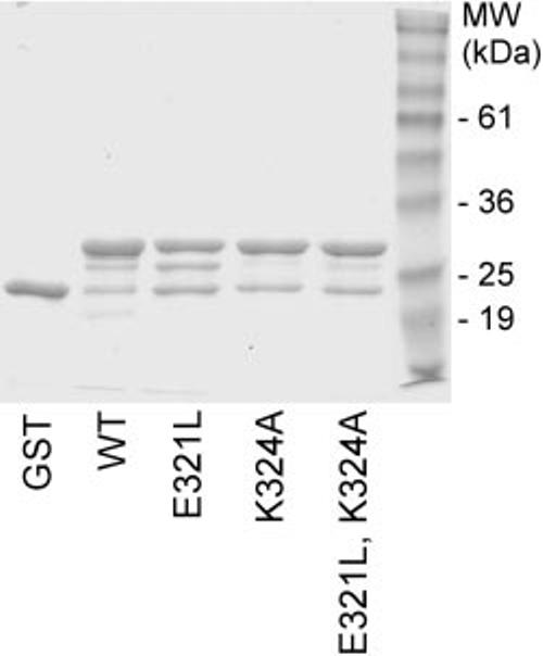 Fig.6.