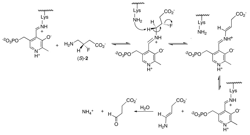 Scheme 2