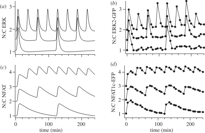 Figure 3.