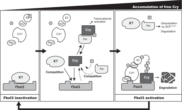 FIGURE 7.