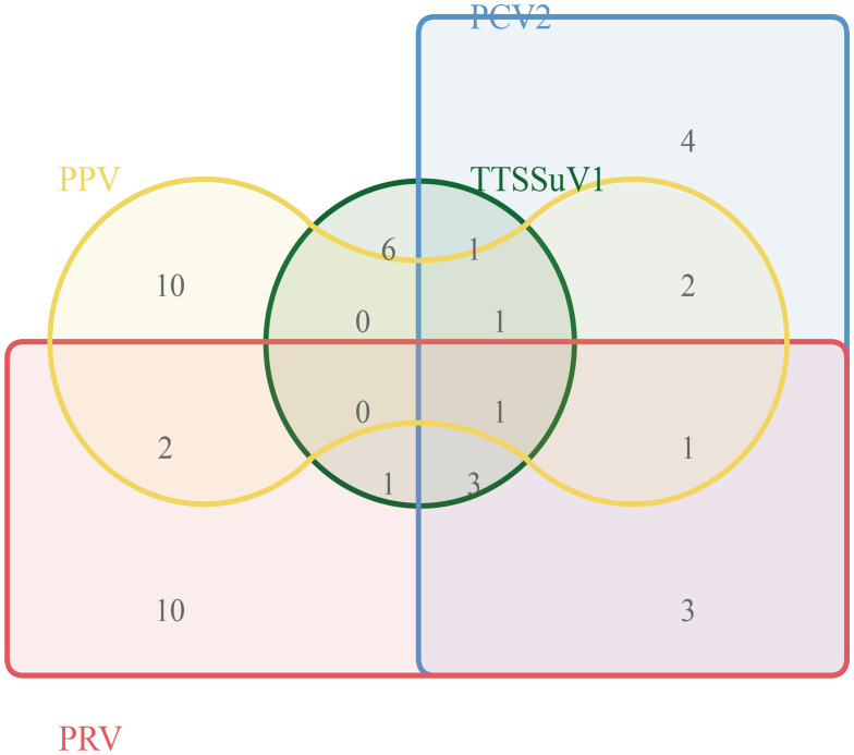 Figure 4