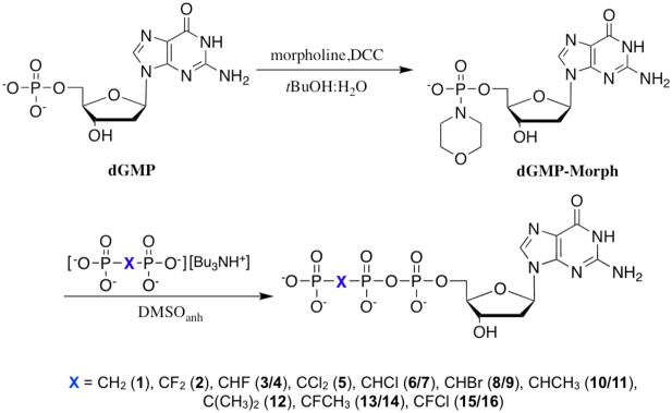 Scheme 1